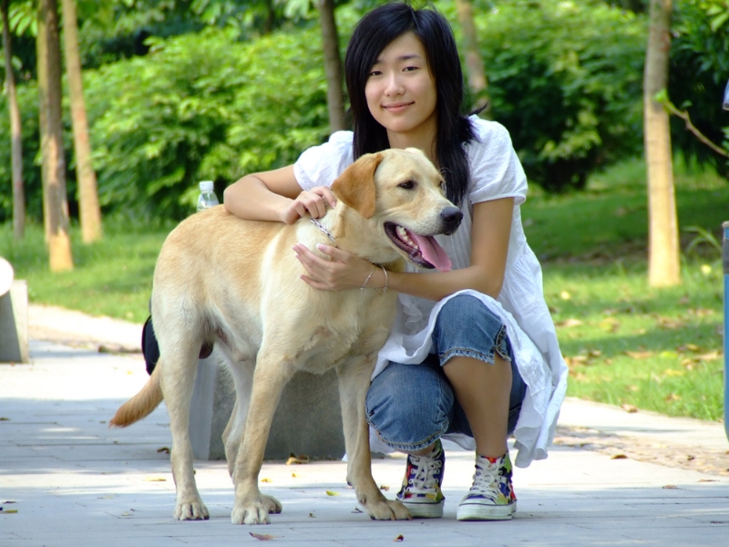 风中的绿叶的第一张照片--大连相亲服务中心