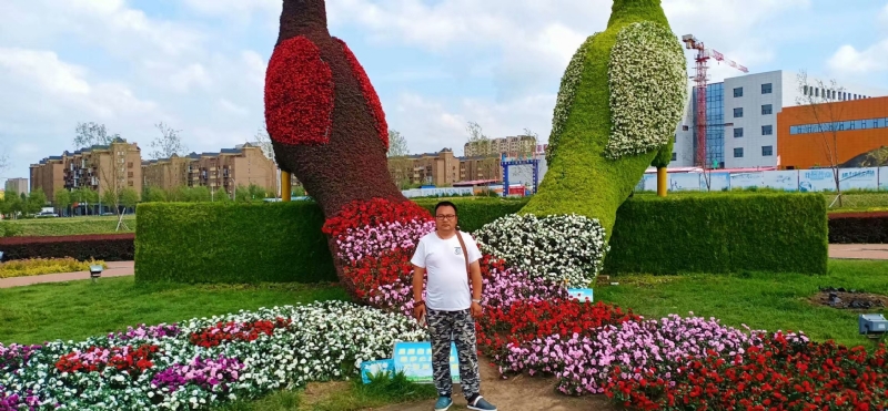 尘埃的第一张照片--大连相亲服务中心