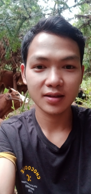 等AI的第一张照片--大连相亲服务中心