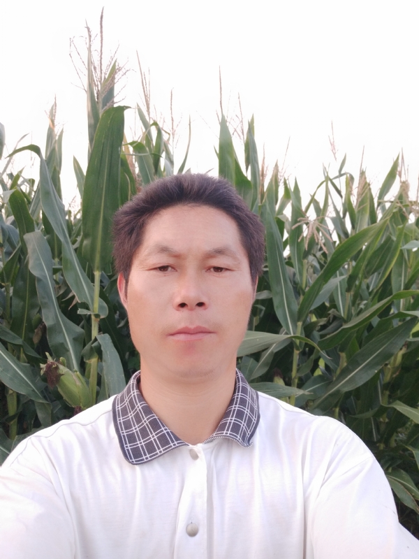 四海游龙的第二张照片--大连相亲服务中心