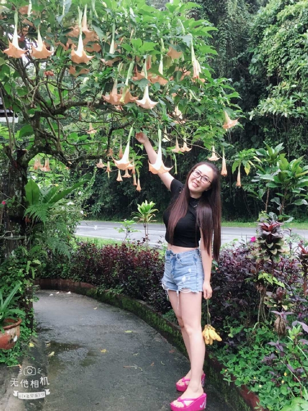 离异单身无子的第二张照片--大连相亲服务中心