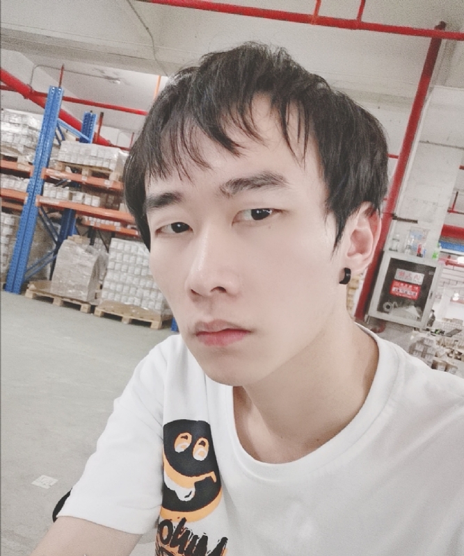 巷子里的猫的第一张照片--大连相亲服务中心