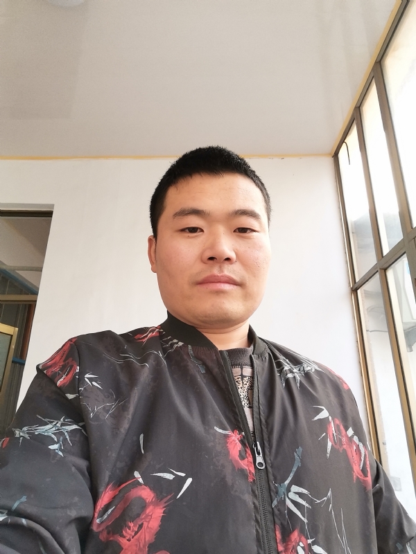 会飞的猪的第一张照片--大连相亲服务中心