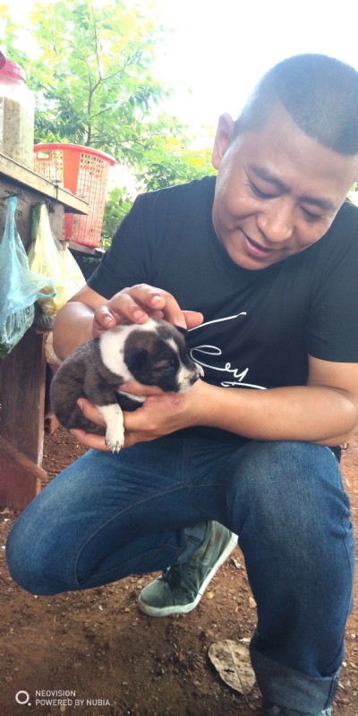 深圳相亲的第一张照片--大连相亲服务中心