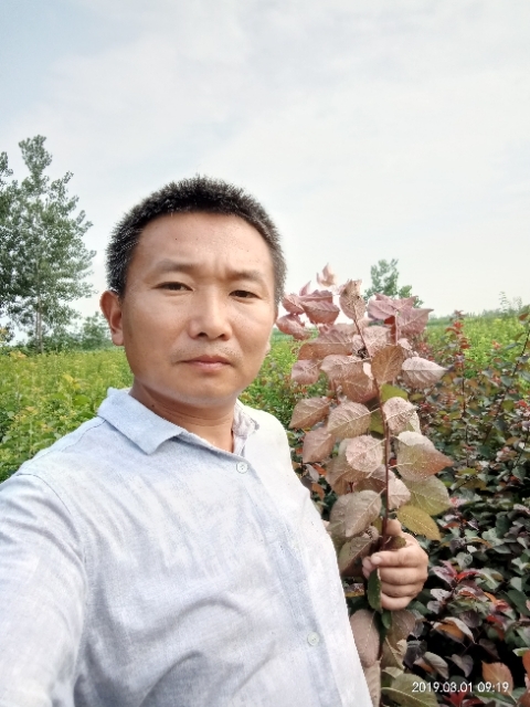 孩子爸的第二张照片--大连相亲服务中心