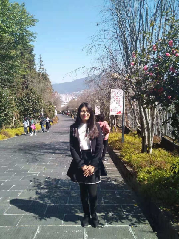 窗台上的桔梗的第一张照片--大连相亲服务中心