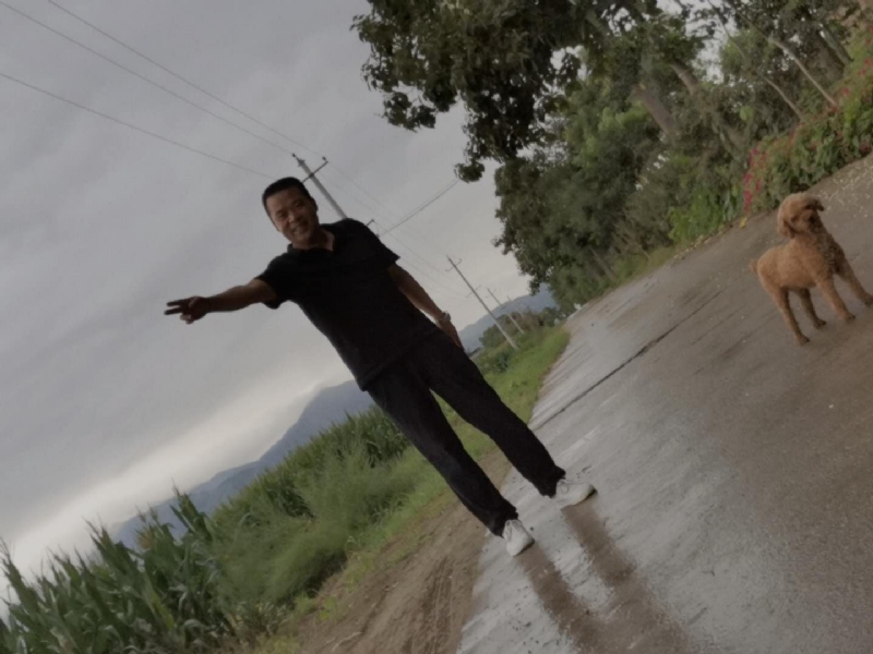 每天的温暖的第一张照片--大连相亲服务中心