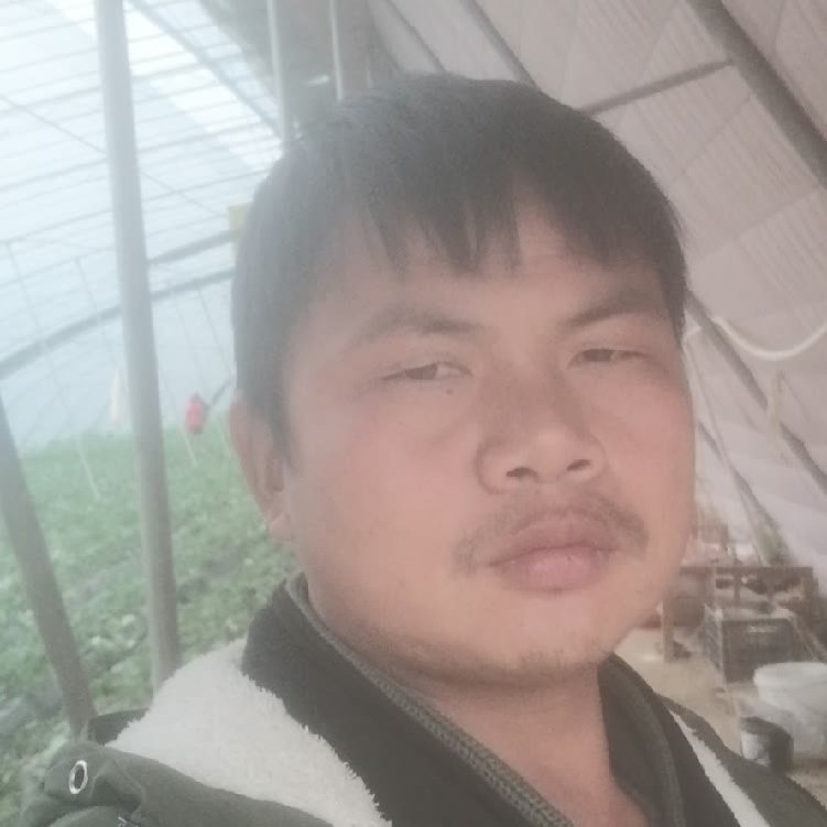 孤狼‘的第一张照片--大连相亲服务中心