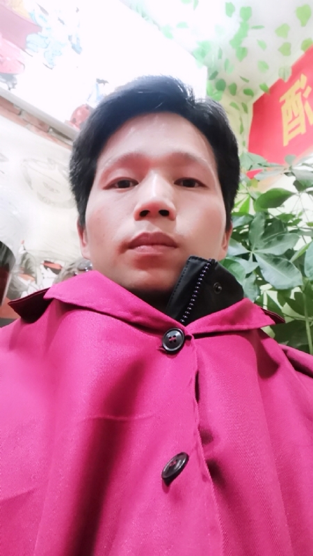 单身的林凡的第一张照片--大连相亲服务中心