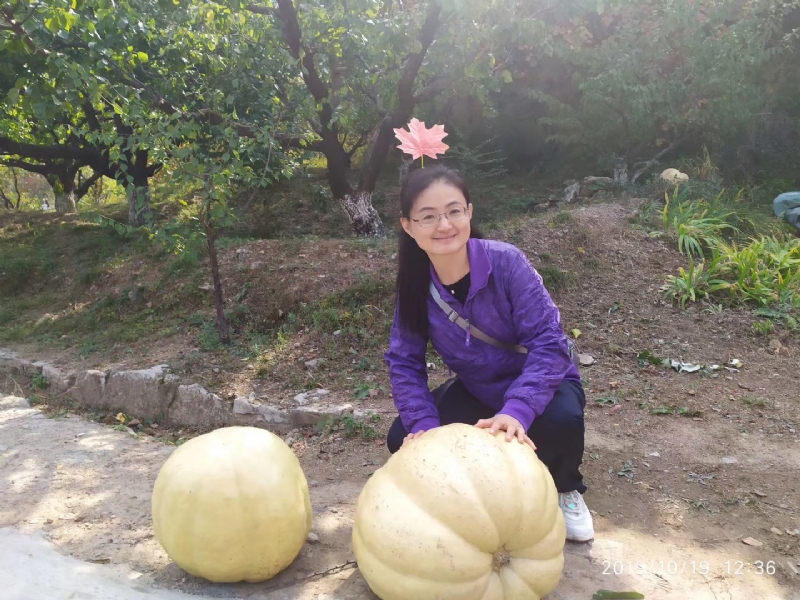 海绵宝宝的第一张照片--大连相亲服务中心