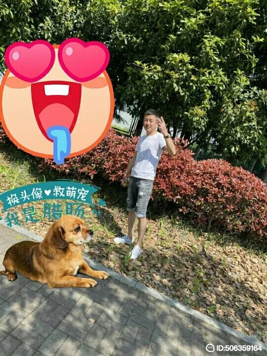 我若不坚强谁替我勇敢的第五张照片--大连相亲服务中心