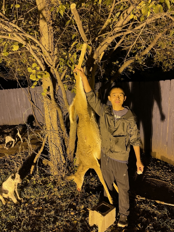 Kandy的第三张照片--大连相亲服务中心