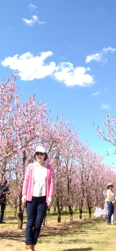 Grace的第二张照片--大连相亲服务中心