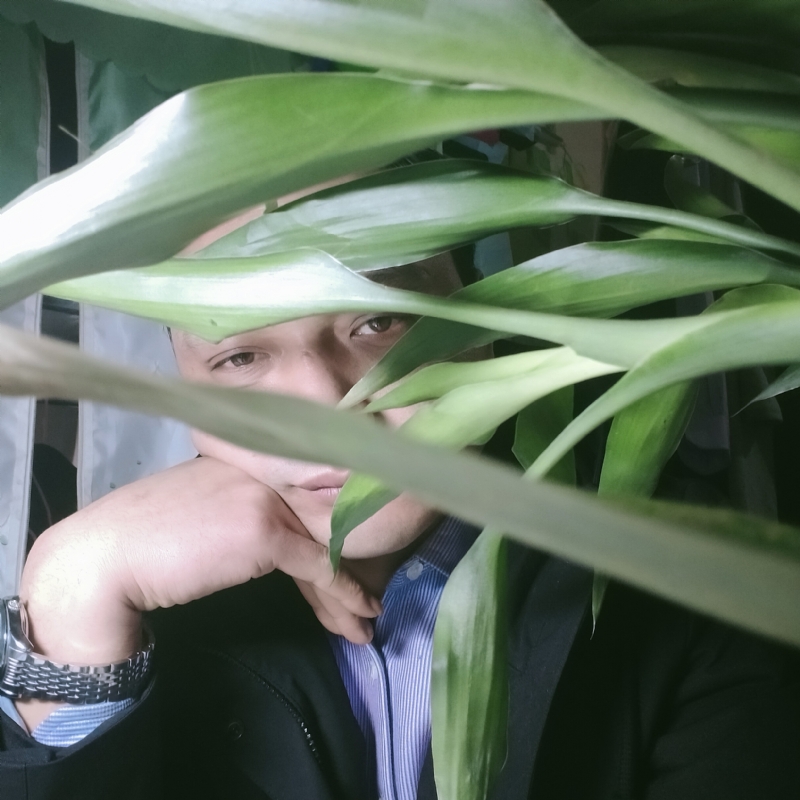 诸先生的第二张照片--大连相亲服务中心