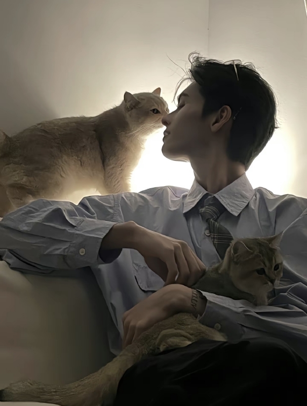 怪猫的第一张照片--大连相亲服务中心