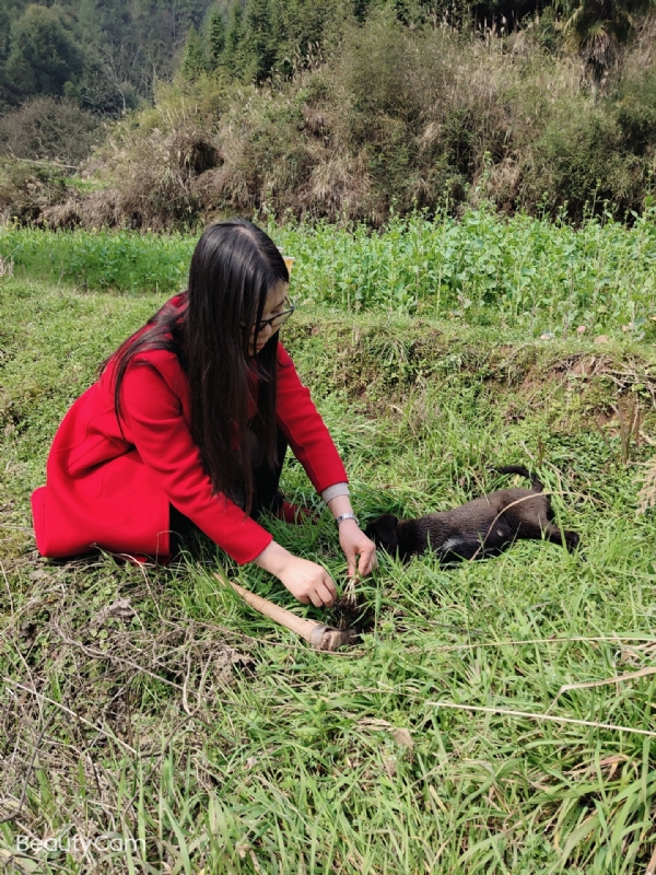 下一个春和秋的第一张照片--大连相亲服务中心