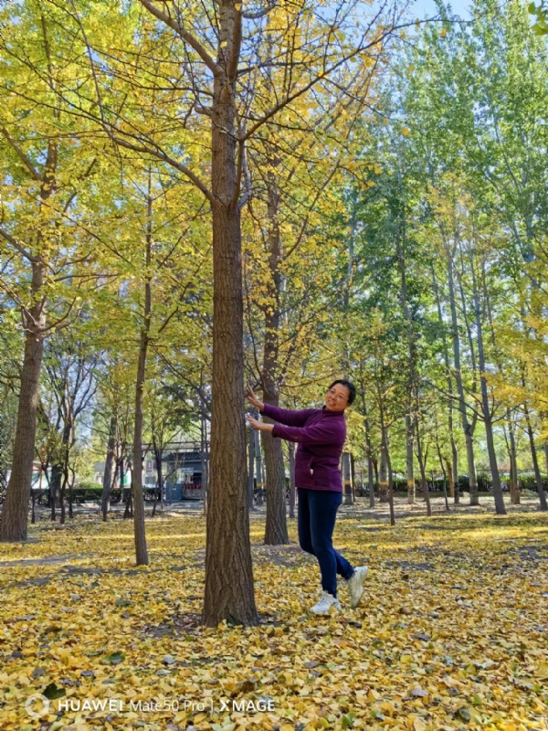 Shirley的第四张照片--大连相亲服务中心