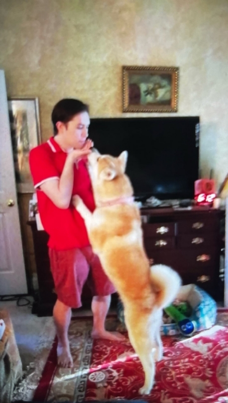 Leluch的第一张照片--大连相亲服务中心