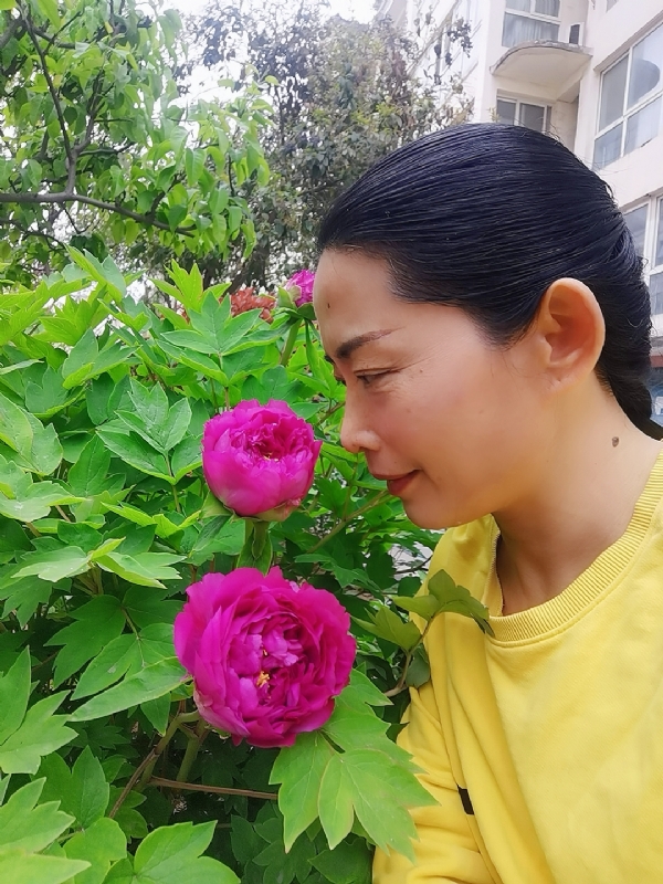 厚德载物的第一张照片--大连相亲服务中心