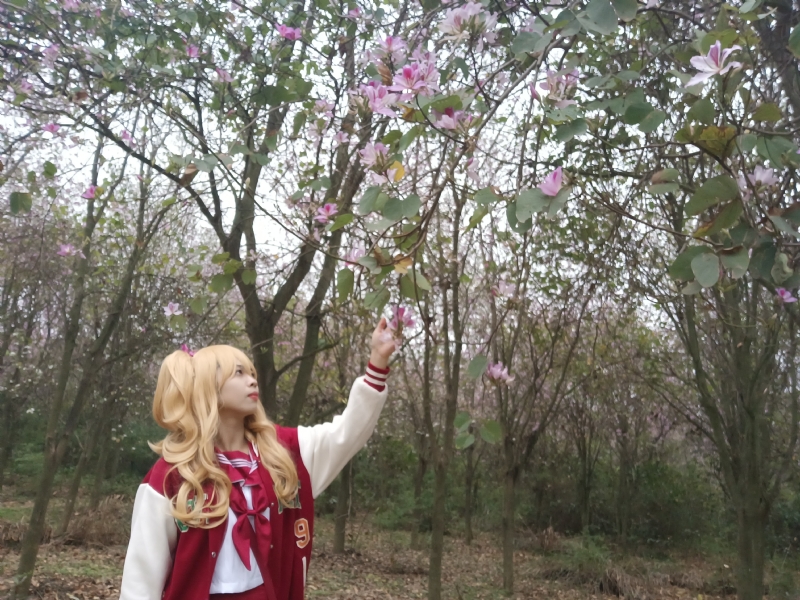 暮秋的第一张照片--大连相亲服务中心