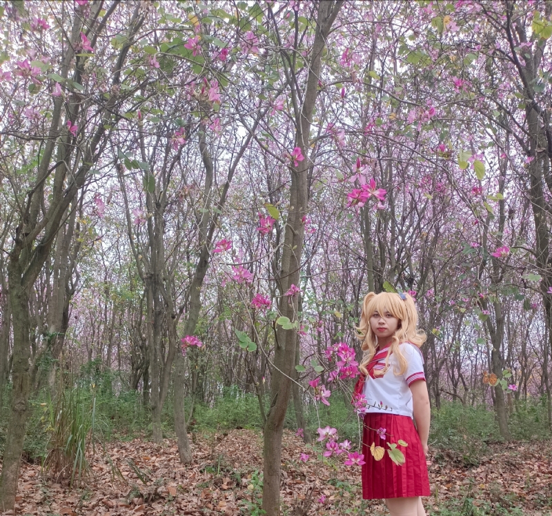 暮秋的第三张照片--大连相亲服务中心