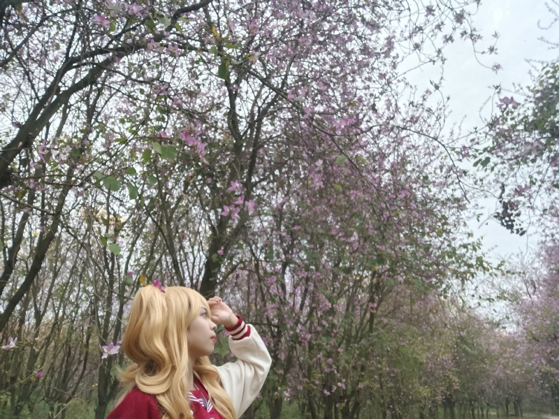 暮秋的第五张照片--大连相亲服务中心