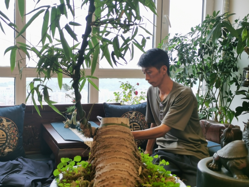 成个家的第一张照片--大连相亲服务中心