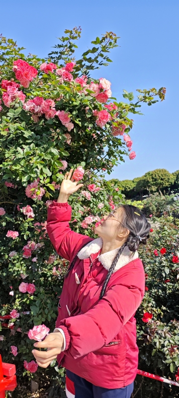 狗狗的第一张照片--大连相亲服务中心