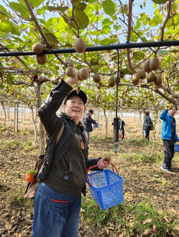 夜莺的第三张照片--大连相亲服务中心